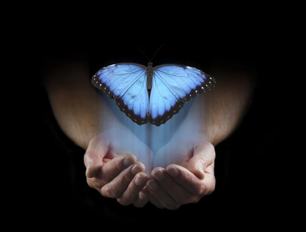 Sensitive Wahrnehmung: Foto: © Nikki Zalewski / shutterstock / #477640720 Sensitive Wahrnehmung: Foto: © Nikki Zalewski / shutterstock / #477640720