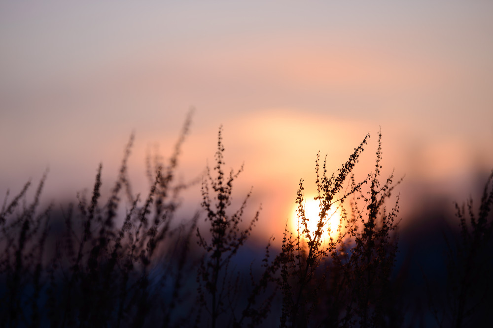 Wie stark ist es wirklich - das Gesetz der Anziehung?: Foto: © Cyrustr / shutterstock / #1918086824 Wie stark ist es wirklich - das Gesetz der Anziehung?: Foto: © Cyrustr / shutterstock / #1918086824